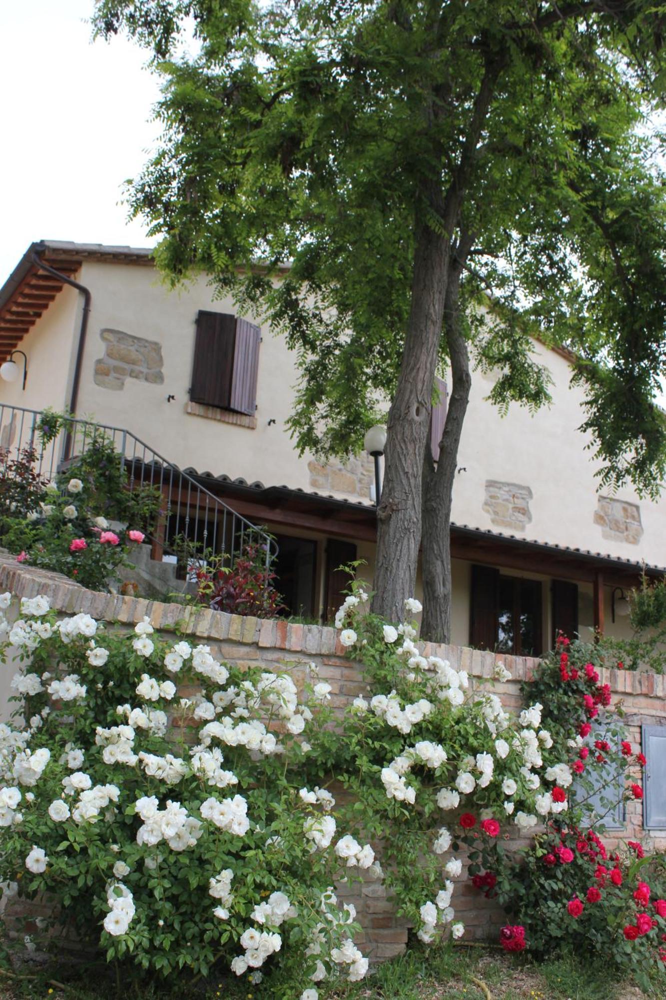 Agriturismo La Valle Del Vento Urbino Exterior foto